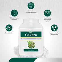 Load image into Gallery viewer, Gokhru Powder 400g
