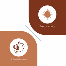 Load image into Gallery viewer, Haritaki (Terminalia Chebula/Harade) Powder, 400g
