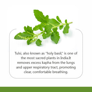 Tulsi Powder 400g
