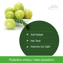 Load image into Gallery viewer, Amla Powder - 100 Gm
