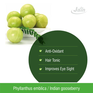 Amla Powder - 100 Gm