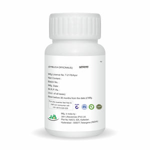 Amla Powder - 100 Gm